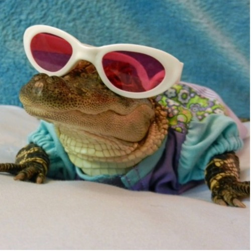 Yaldabaoth's profile picture